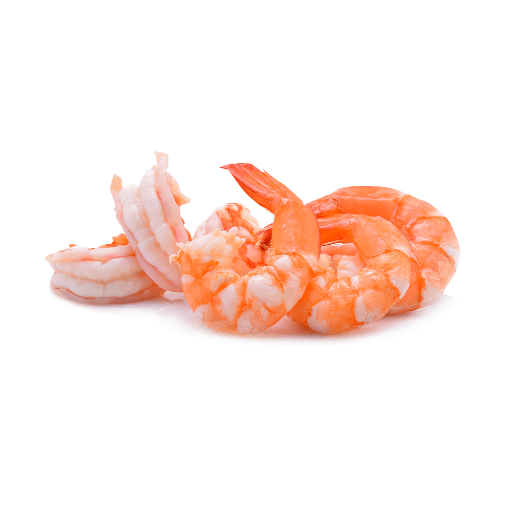 รูปภาพ Shrimp